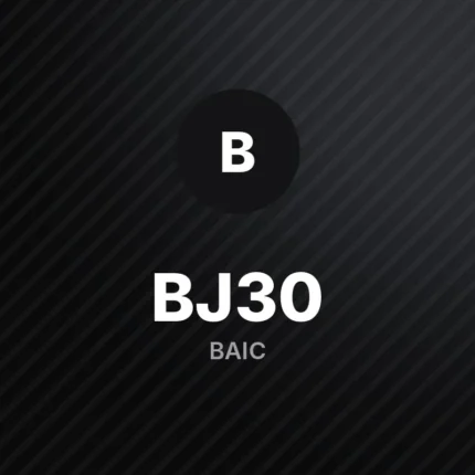 BAIC BJ30