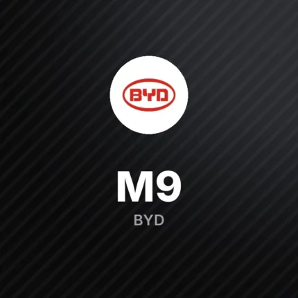 BYD M9