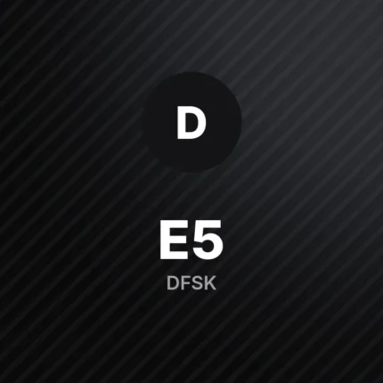 دي إف إس كيه E5