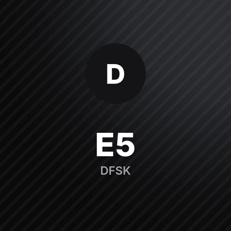 دي إف إس كيه E5