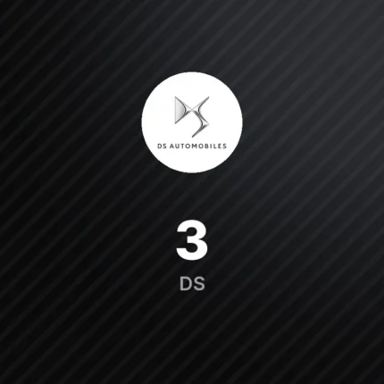 DS 3