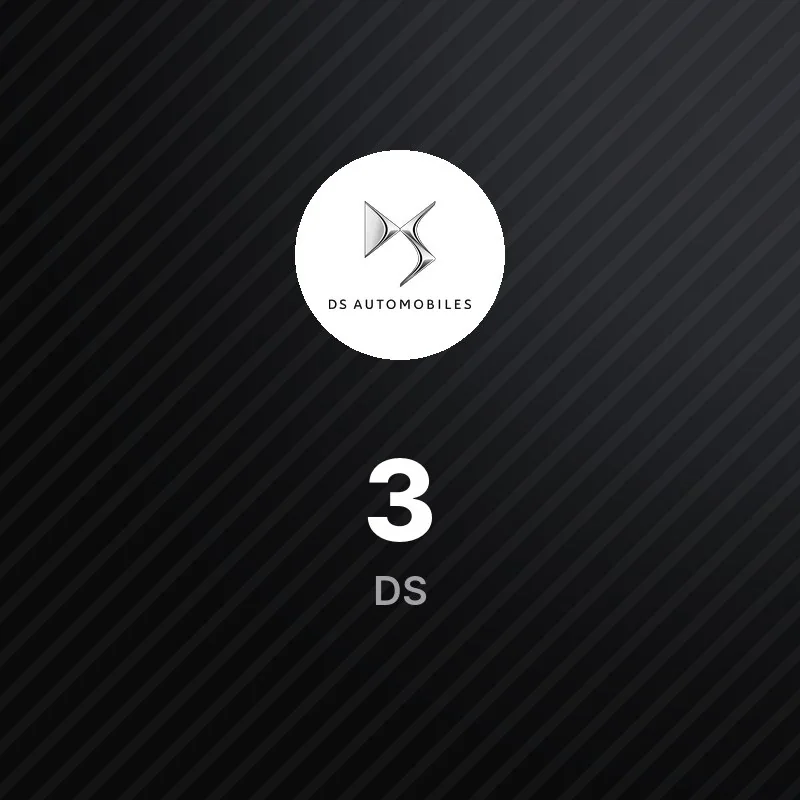 DS 3