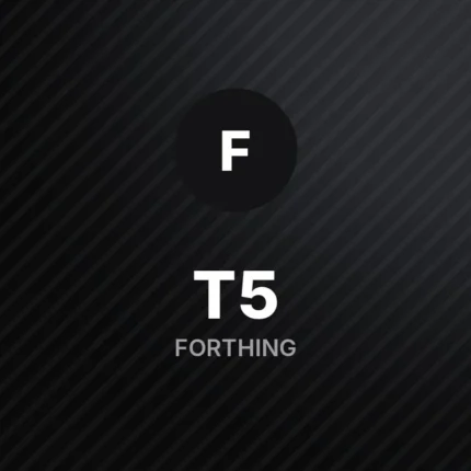 Forthing T5