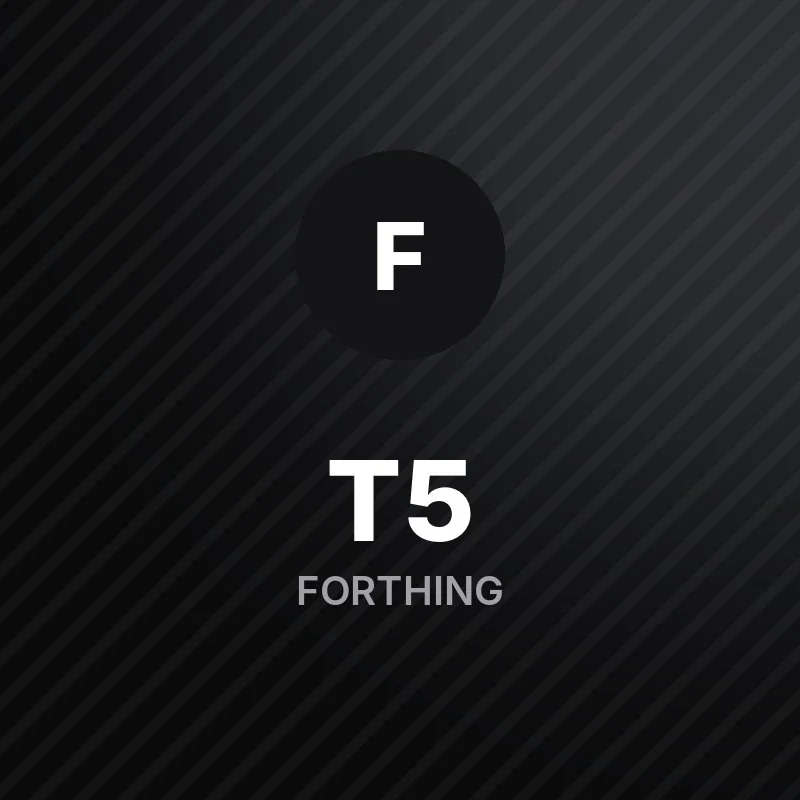 Forthing T5